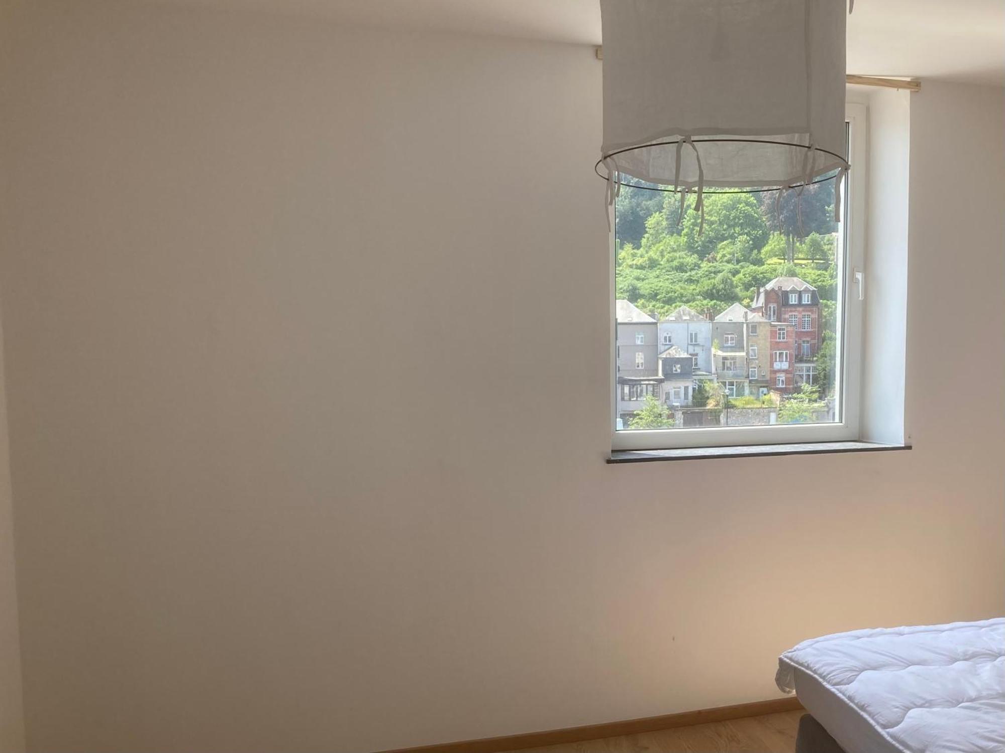 Les Terrasses De Sax Bed & Breakfast Dinant Dış mekan fotoğraf
